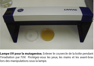 Chambre UV Uvicab - UV / Transilluminateur - Biologie moléculaire -  Matériel de laboratoire